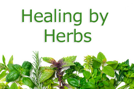 Healing by Herbs
